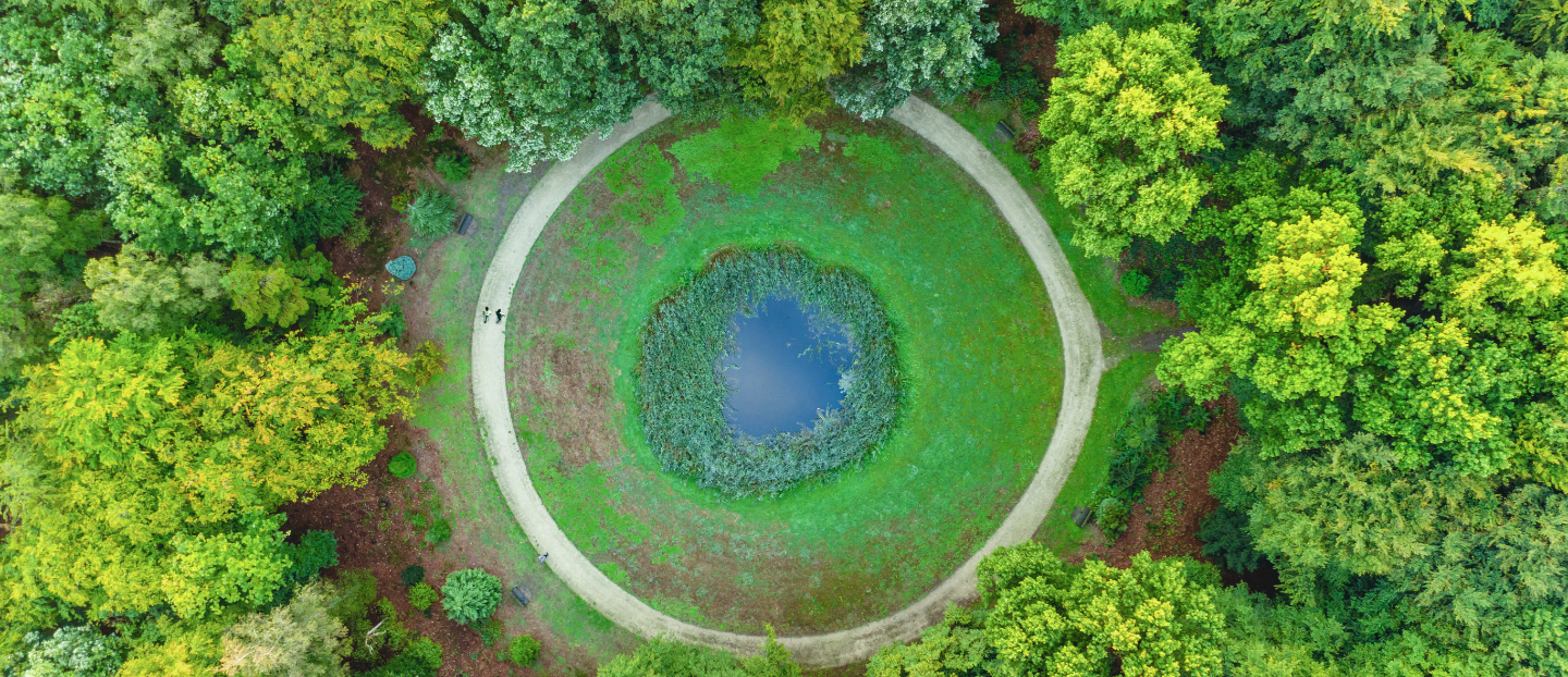 Vogelperspektive auf Wald mit Kreis in der Mitte